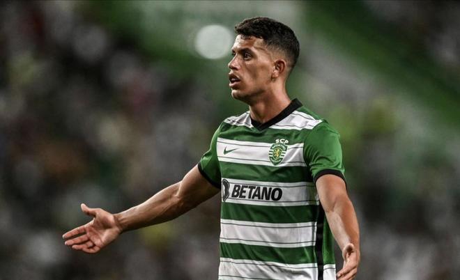 深度版专题 深度版专题