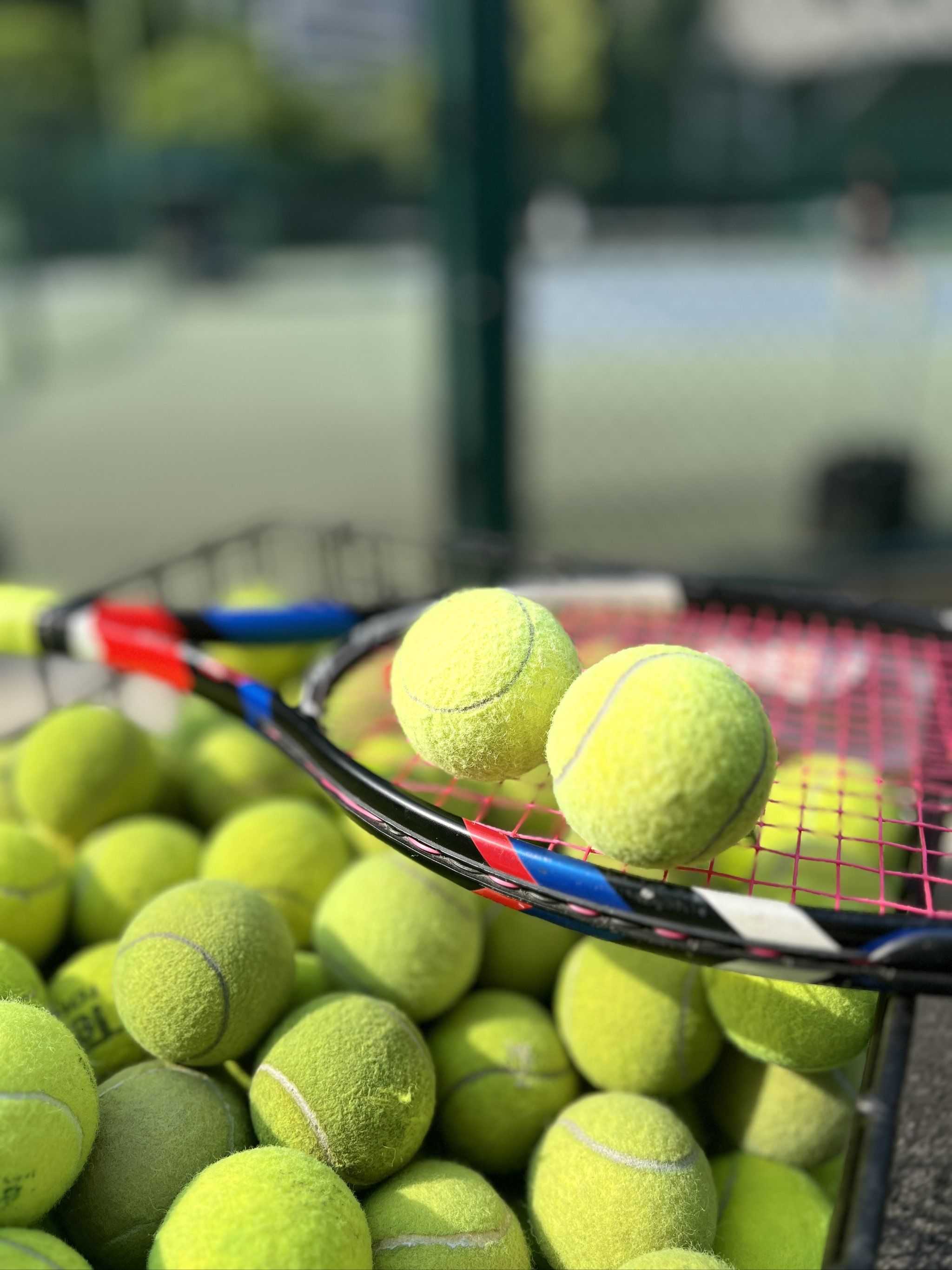 新闻客户端 新闻客户端